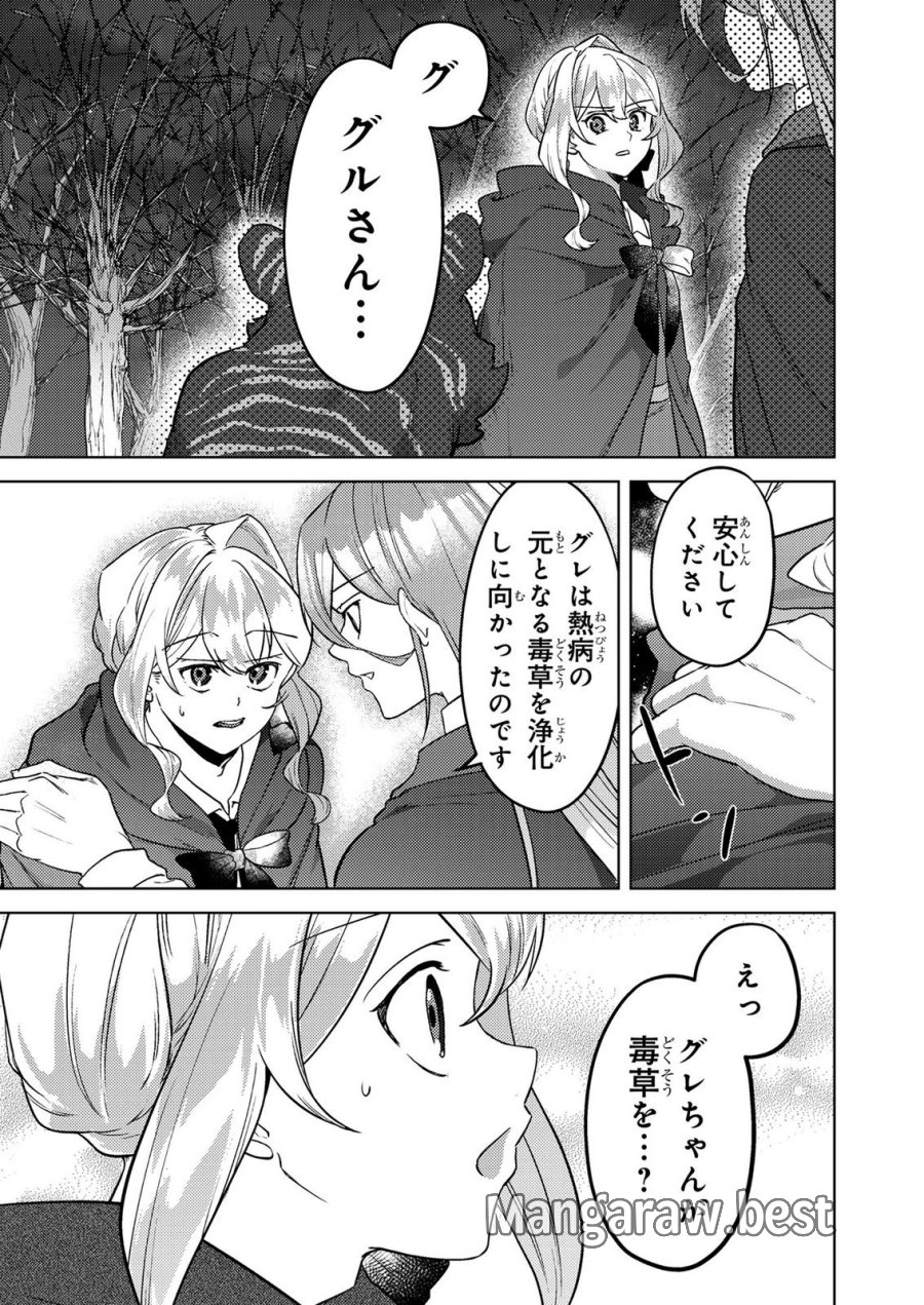 婚約破棄したお馬鹿な王子はほっといて、悪役令嬢は精霊の森で幸せになります。 第22話 - Trang 15