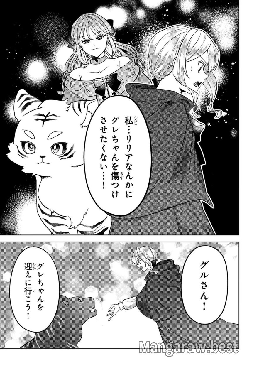 婚約破棄したお馬鹿な王子はほっといて、悪役令嬢は精霊の森で幸せになります。 第22話 - Trang 17