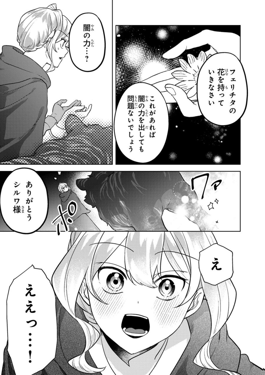 婚約破棄したお馬鹿な王子はほっといて、悪役令嬢は精霊の森で幸せになります。 第22話 - Trang 19