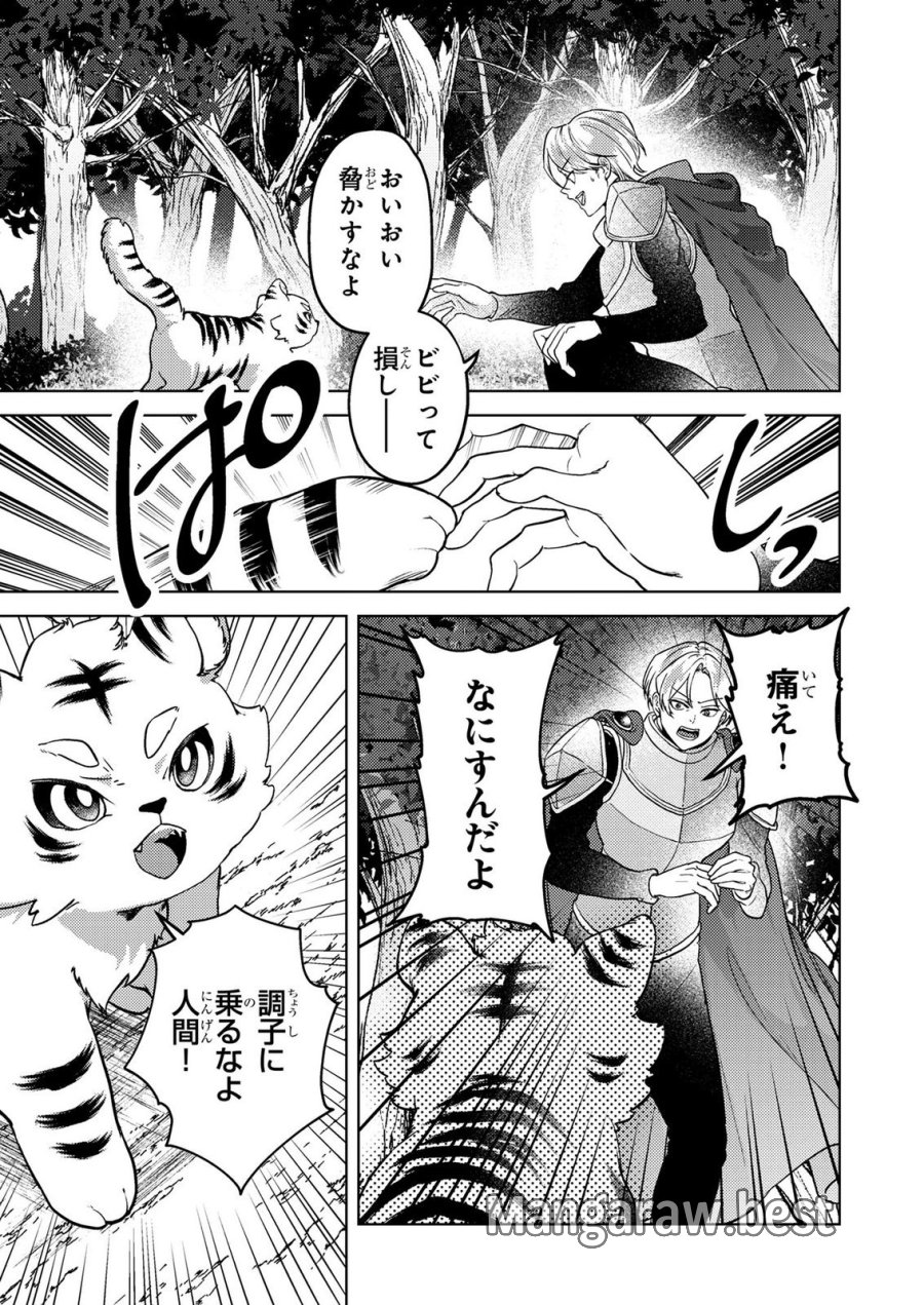 婚約破棄したお馬鹿な王子はほっといて、悪役令嬢は精霊の森で幸せになります。 第22話 - Trang 5