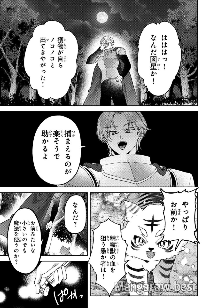 婚約破棄したお馬鹿な王子はほっといて、悪役令嬢は精霊の森で幸せになります。 第22話 - Trang 7