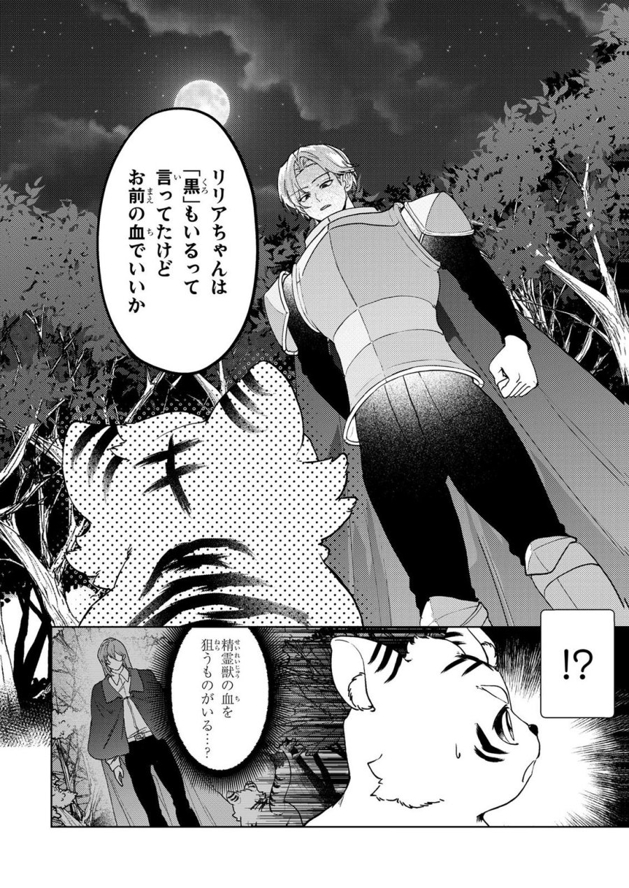 婚約破棄したお馬鹿な王子はほっといて、悪役令嬢は精霊の森で幸せになります。 第22話 - Trang 8