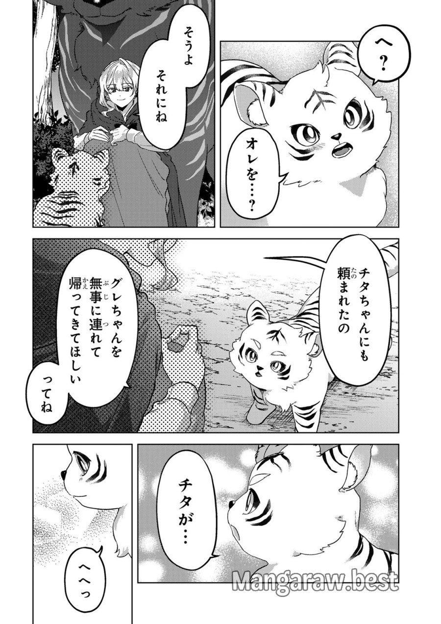 婚約破棄したお馬鹿な王子はほっといて、悪役令嬢は精霊の森で幸せになります。 第23話 - Trang 10