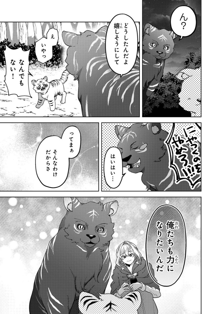 婚約破棄したお馬鹿な王子はほっといて、悪役令嬢は精霊の森で幸せになります。 第23話 - Trang 11