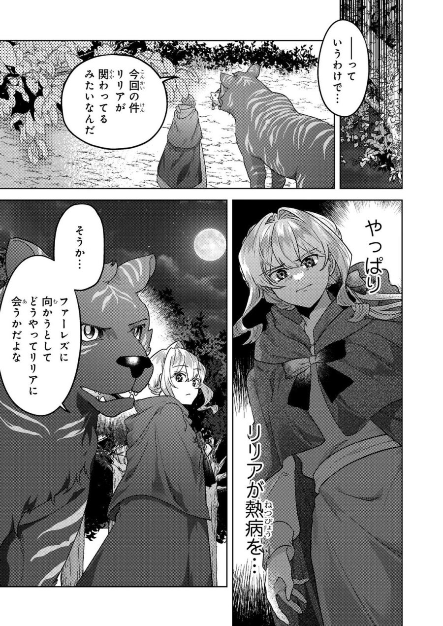 婚約破棄したお馬鹿な王子はほっといて、悪役令嬢は精霊の森で幸せになります。 第23話 - Trang 13