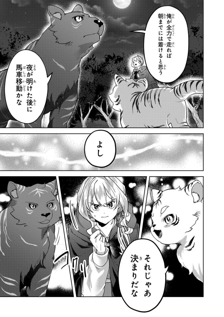 婚約破棄したお馬鹿な王子はほっといて、悪役令嬢は精霊の森で幸せになります。 第23話 - Trang 17
