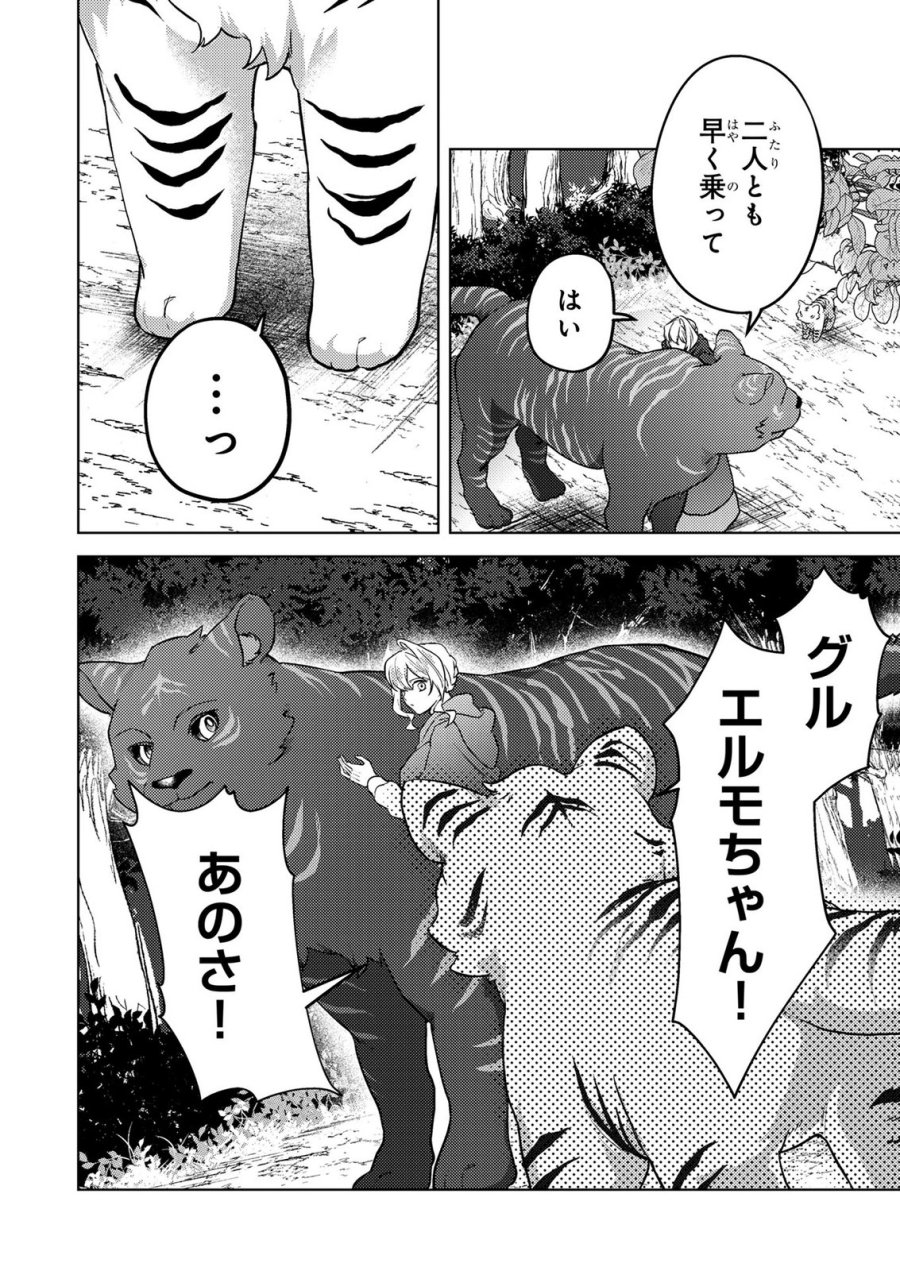 婚約破棄したお馬鹿な王子はほっといて、悪役令嬢は精霊の森で幸せになります。 第23話 - Trang 18