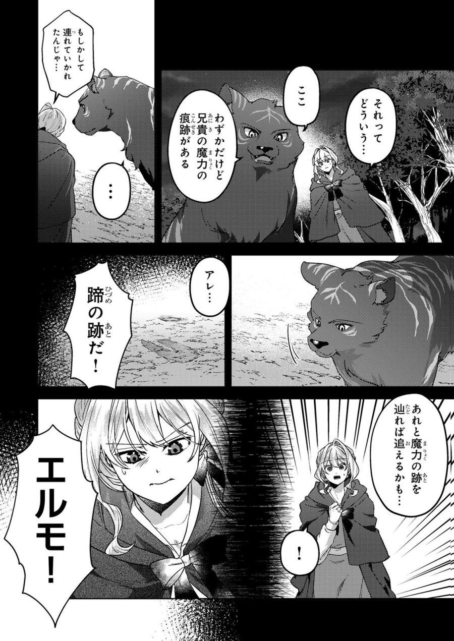 婚約破棄したお馬鹿な王子はほっといて、悪役令嬢は精霊の森で幸せになります。 第23話 - Trang 3