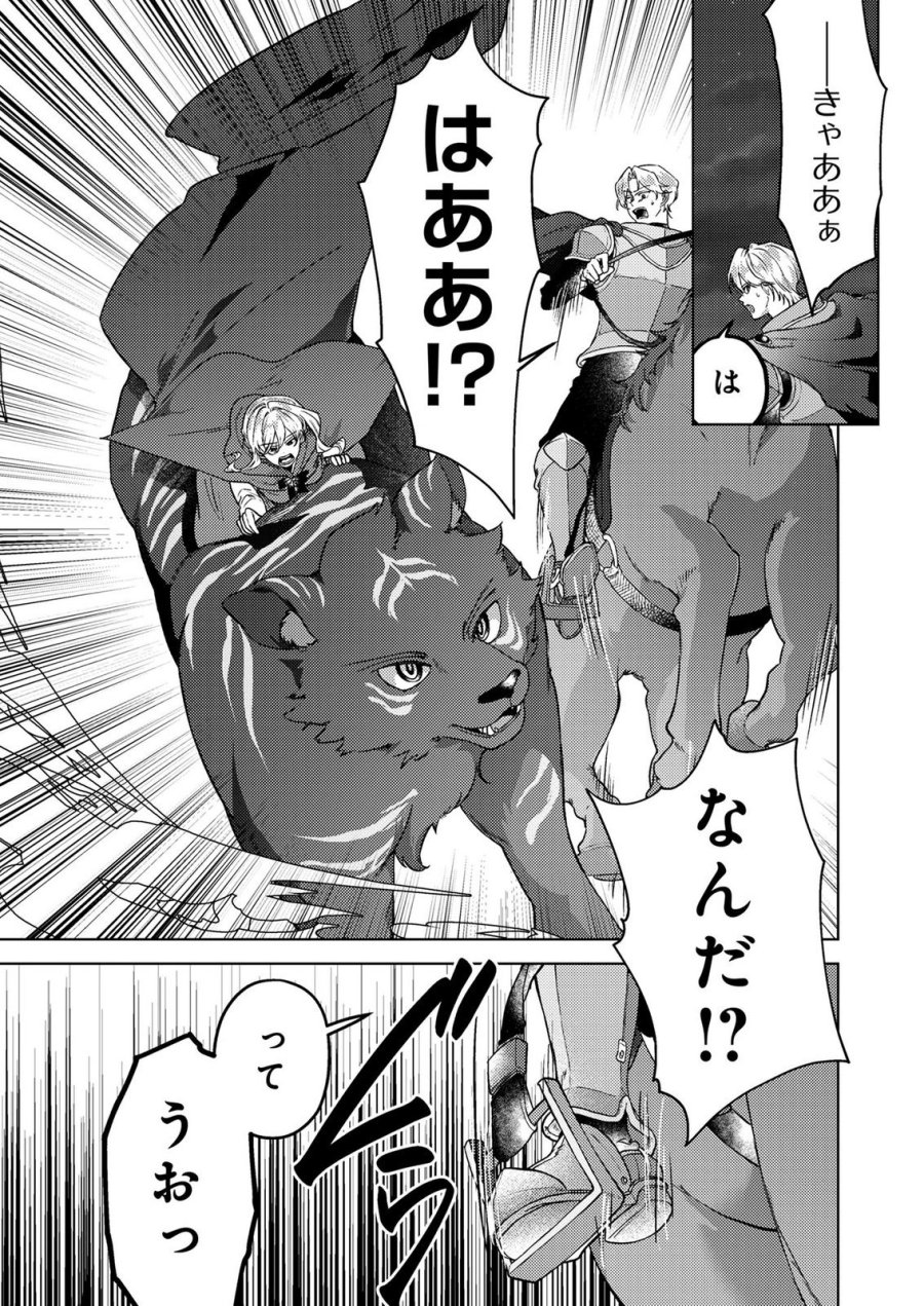 婚約破棄したお馬鹿な王子はほっといて、悪役令嬢は精霊の森で幸せになります。 第23話 - Trang 5