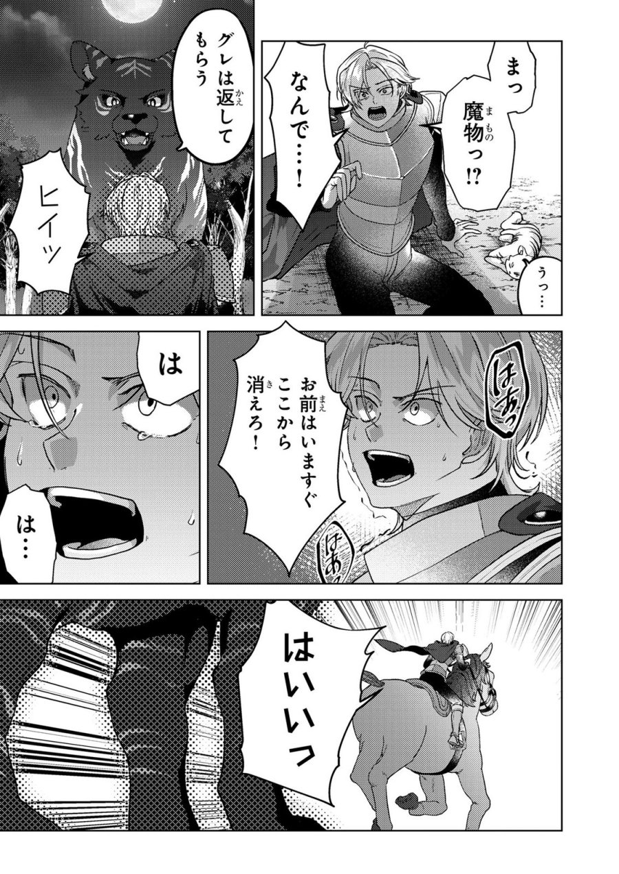 婚約破棄したお馬鹿な王子はほっといて、悪役令嬢は精霊の森で幸せになります。 第23話 - Trang 7
