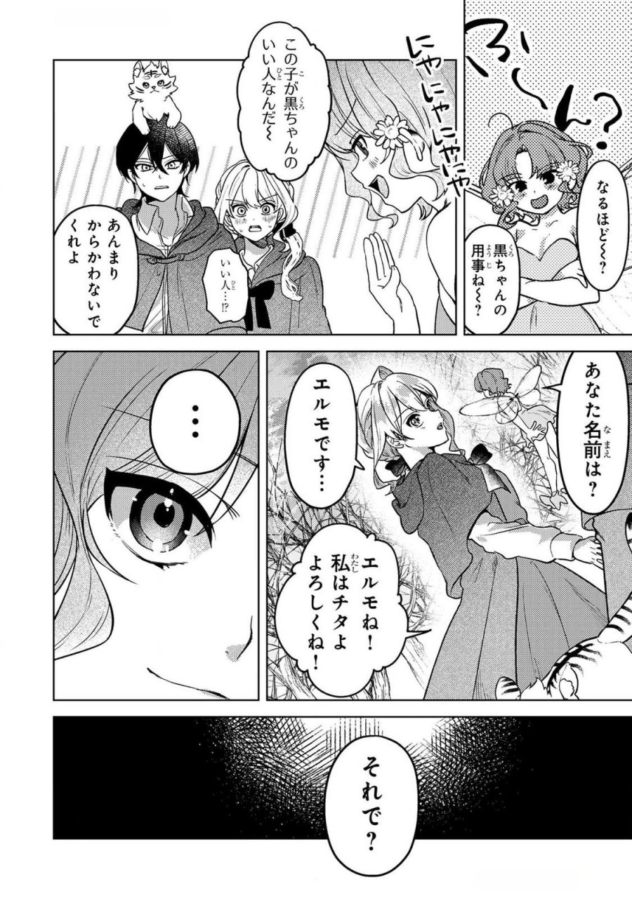 婚約破棄したお馬鹿な王子はほっといて、悪役令嬢は精霊の森で幸せになります。 第14話 - Trang 10