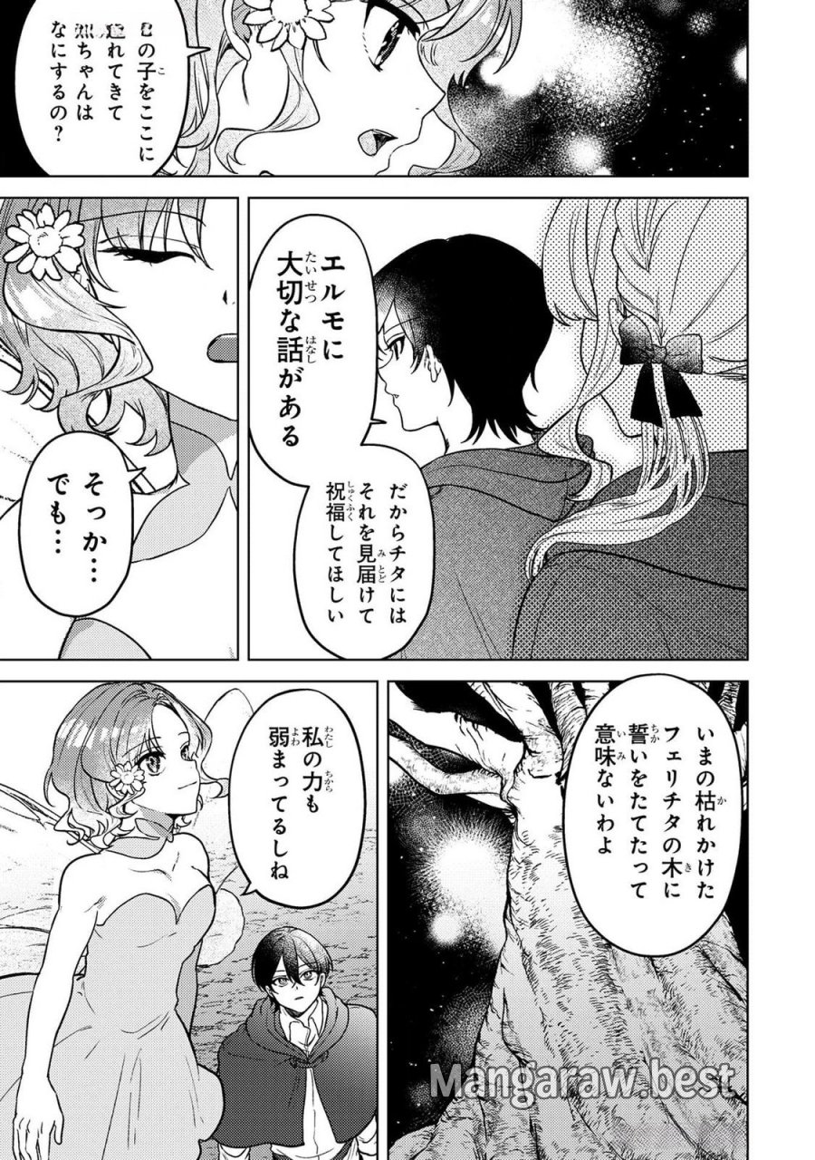 婚約破棄したお馬鹿な王子はほっといて、悪役令嬢は精霊の森で幸せになります。 第14話 - Trang 11