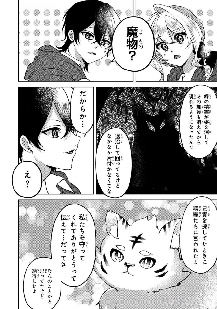 婚約破棄したお馬鹿な王子はほっといて、悪役令嬢は精霊の森で幸せになります。 第14話 - Trang 4