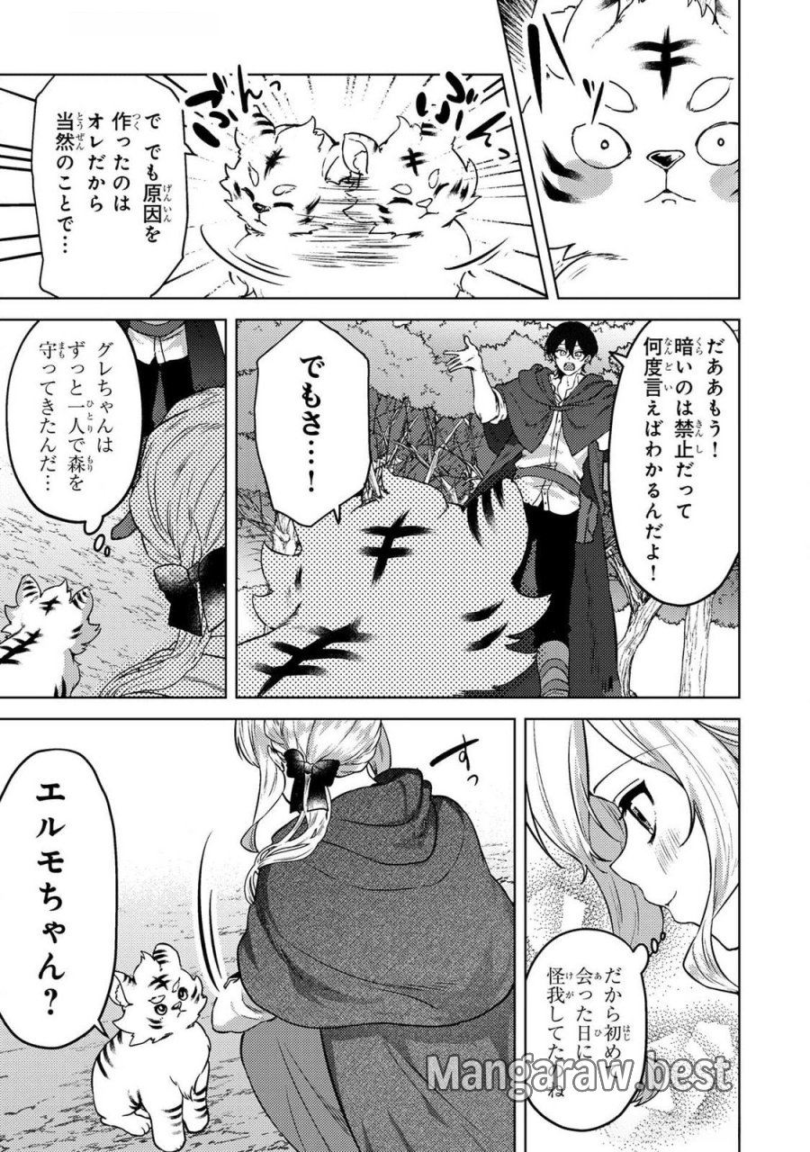 婚約破棄したお馬鹿な王子はほっといて、悪役令嬢は精霊の森で幸せになります。 第14話 - Trang 5
