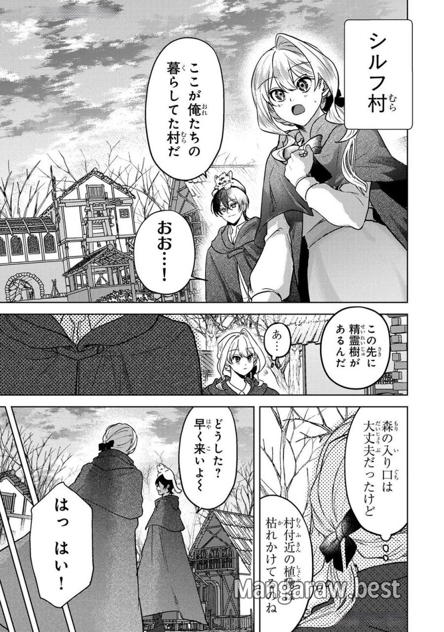 婚約破棄したお馬鹿な王子はほっといて、悪役令嬢は精霊の森で幸せになります。 第14話 - Trang 7