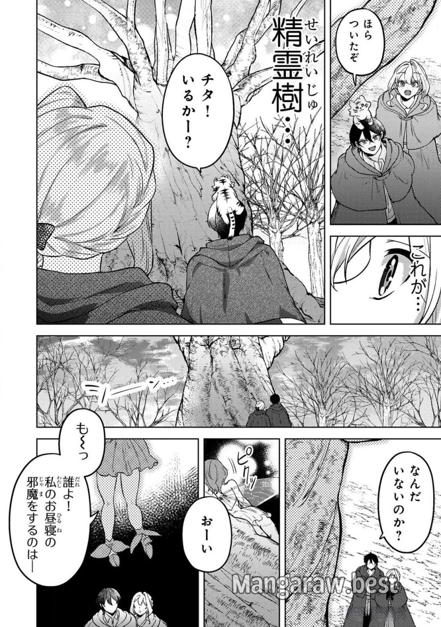 婚約破棄したお馬鹿な王子はほっといて、悪役令嬢は精霊の森で幸せになります。 第14話 - Trang 8