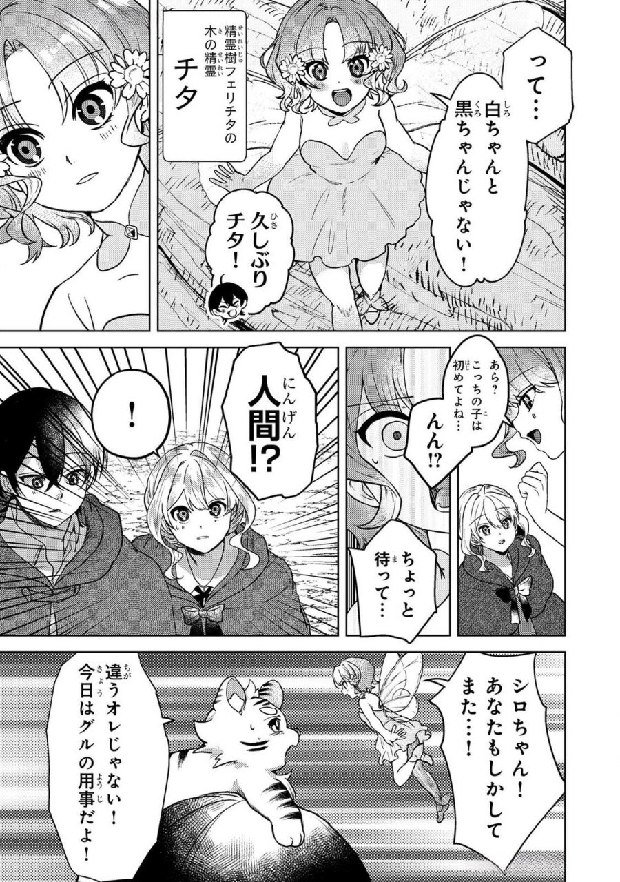 婚約破棄したお馬鹿な王子はほっといて、悪役令嬢は精霊の森で幸せになります。 第14話 - Trang 9