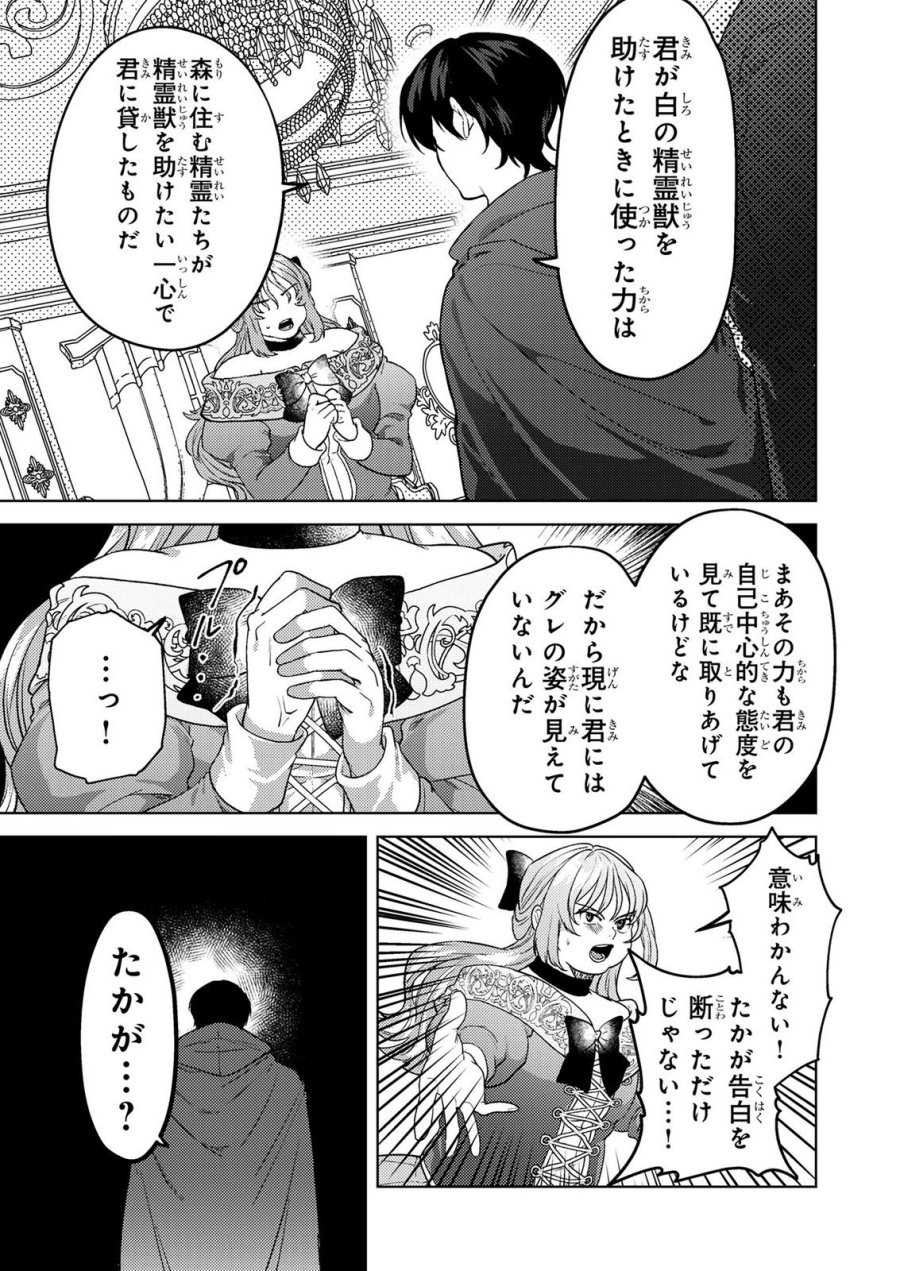 婚約破棄したお馬鹿な王子はほっといて、悪役令嬢は精霊の森で幸せになります。 第26話 - Trang 11