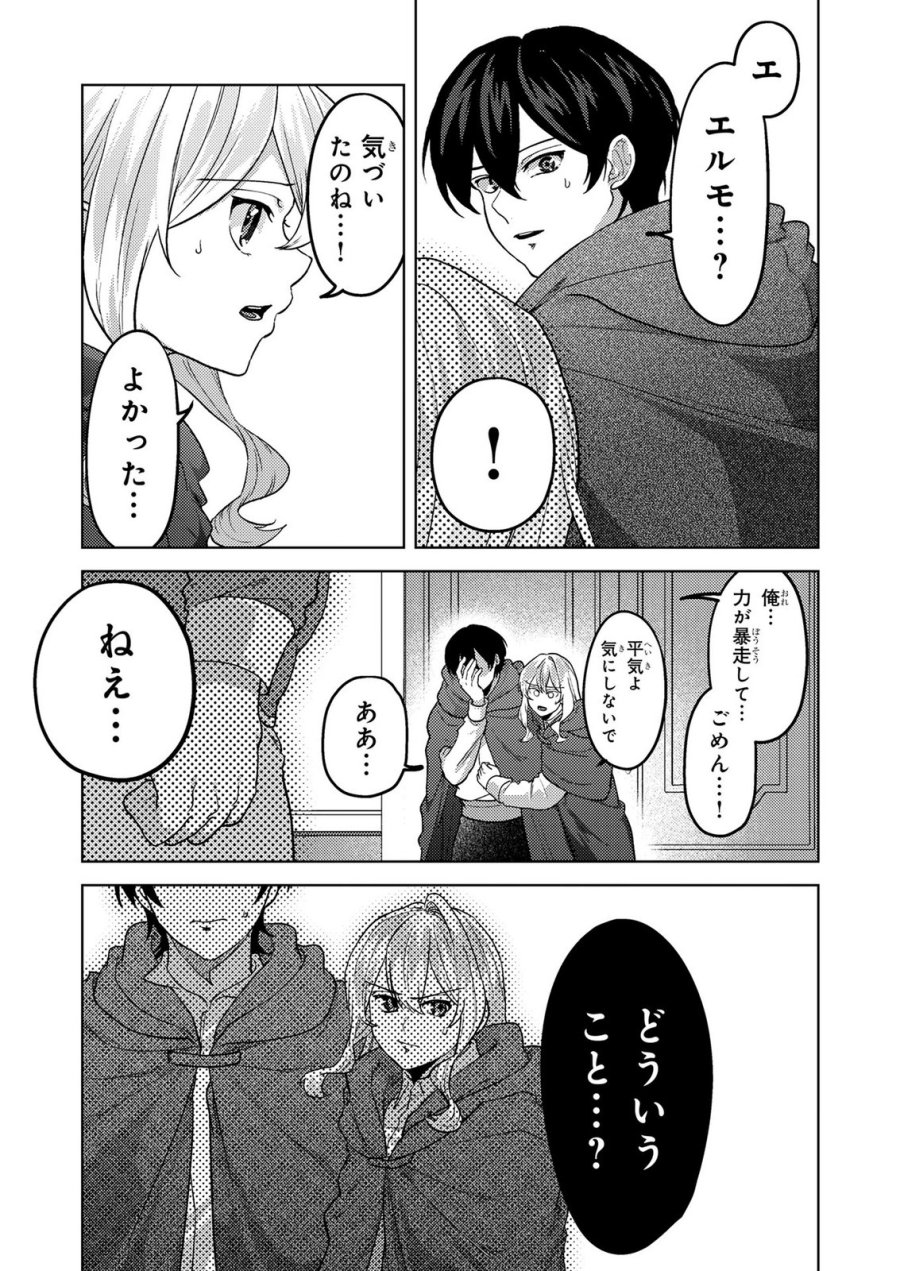 婚約破棄したお馬鹿な王子はほっといて、悪役令嬢は精霊の森で幸せになります。 第26話 - Trang 15
