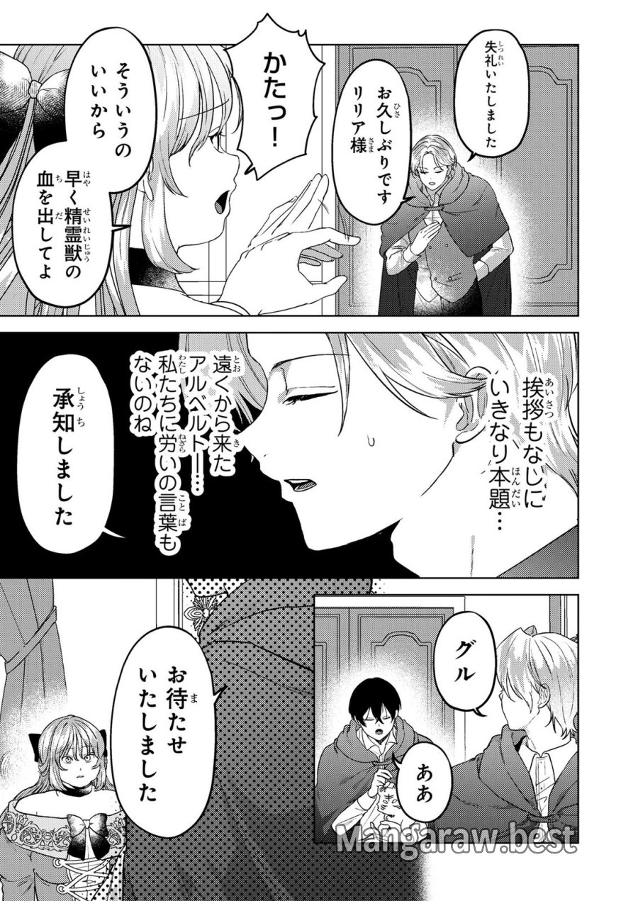 婚約破棄したお馬鹿な王子はほっといて、悪役令嬢は精霊の森で幸せになります。 第26話 - Trang 3