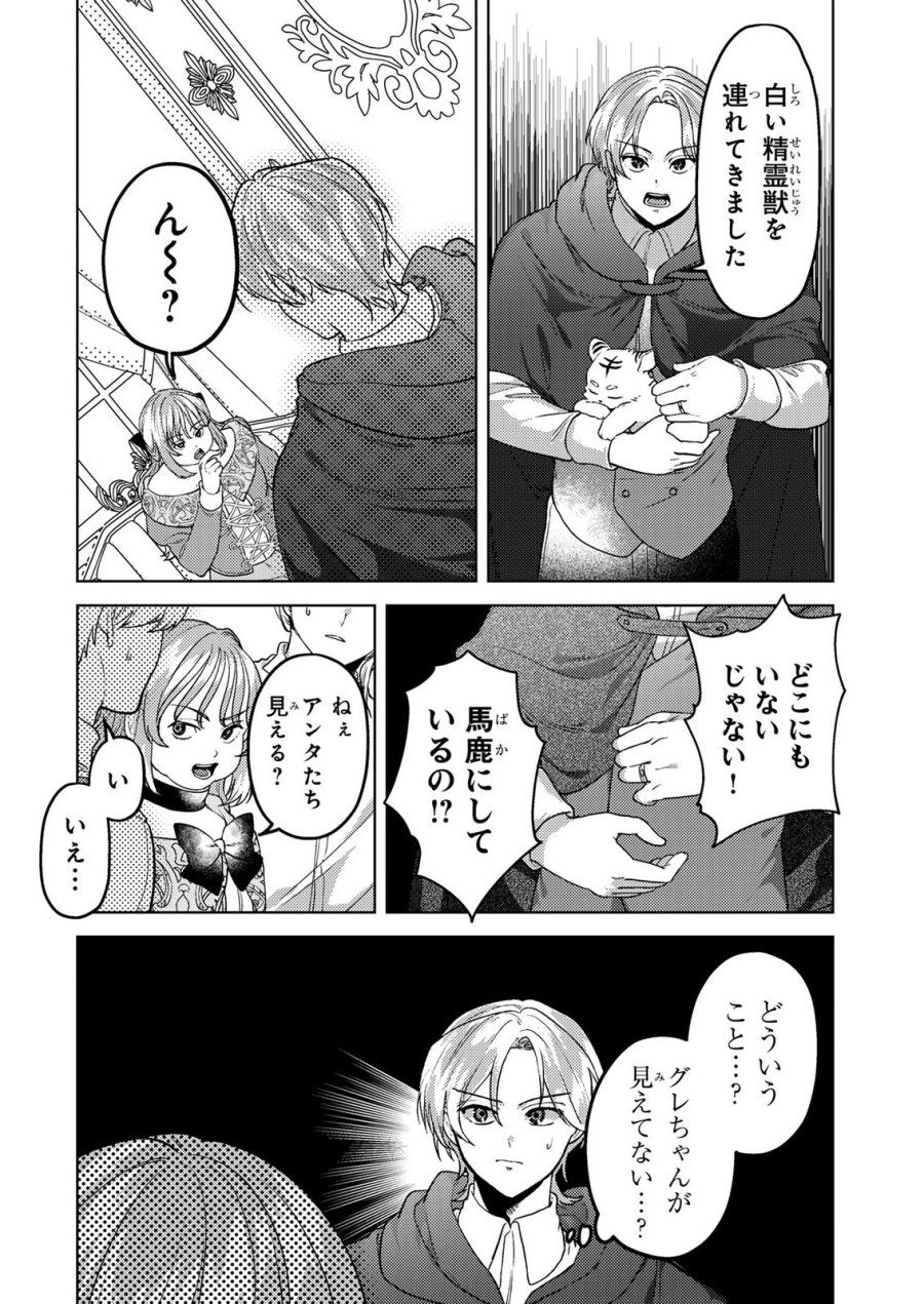 婚約破棄したお馬鹿な王子はほっといて、悪役令嬢は精霊の森で幸せになります。 第26話 - Trang 4