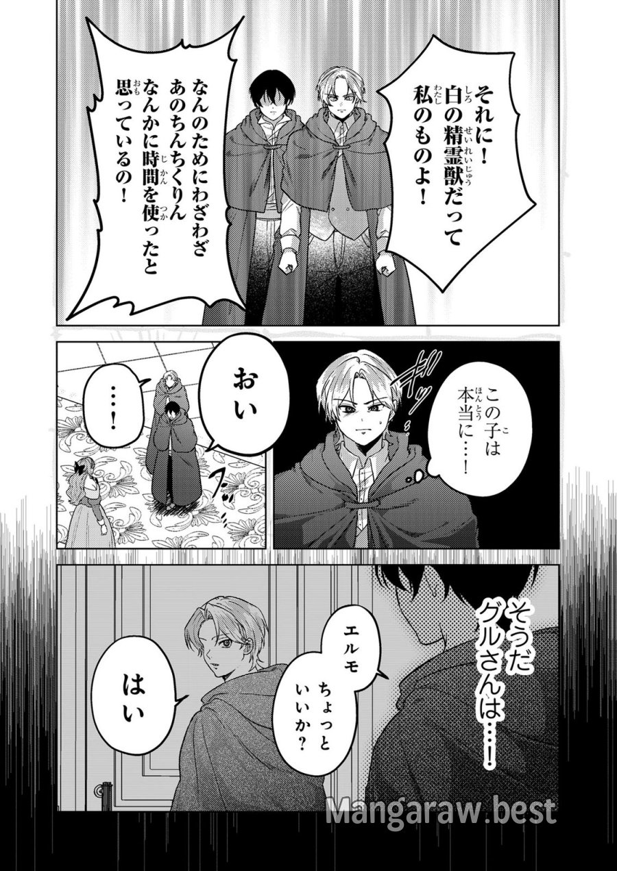 婚約破棄したお馬鹿な王子はほっといて、悪役令嬢は精霊の森で幸せになります。 第26話 - Trang 7