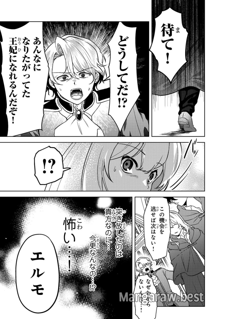 婚約破棄したお馬鹿な王子はほっといて、悪役令嬢は精霊の森で幸せになります。 第28話 - Trang 11
