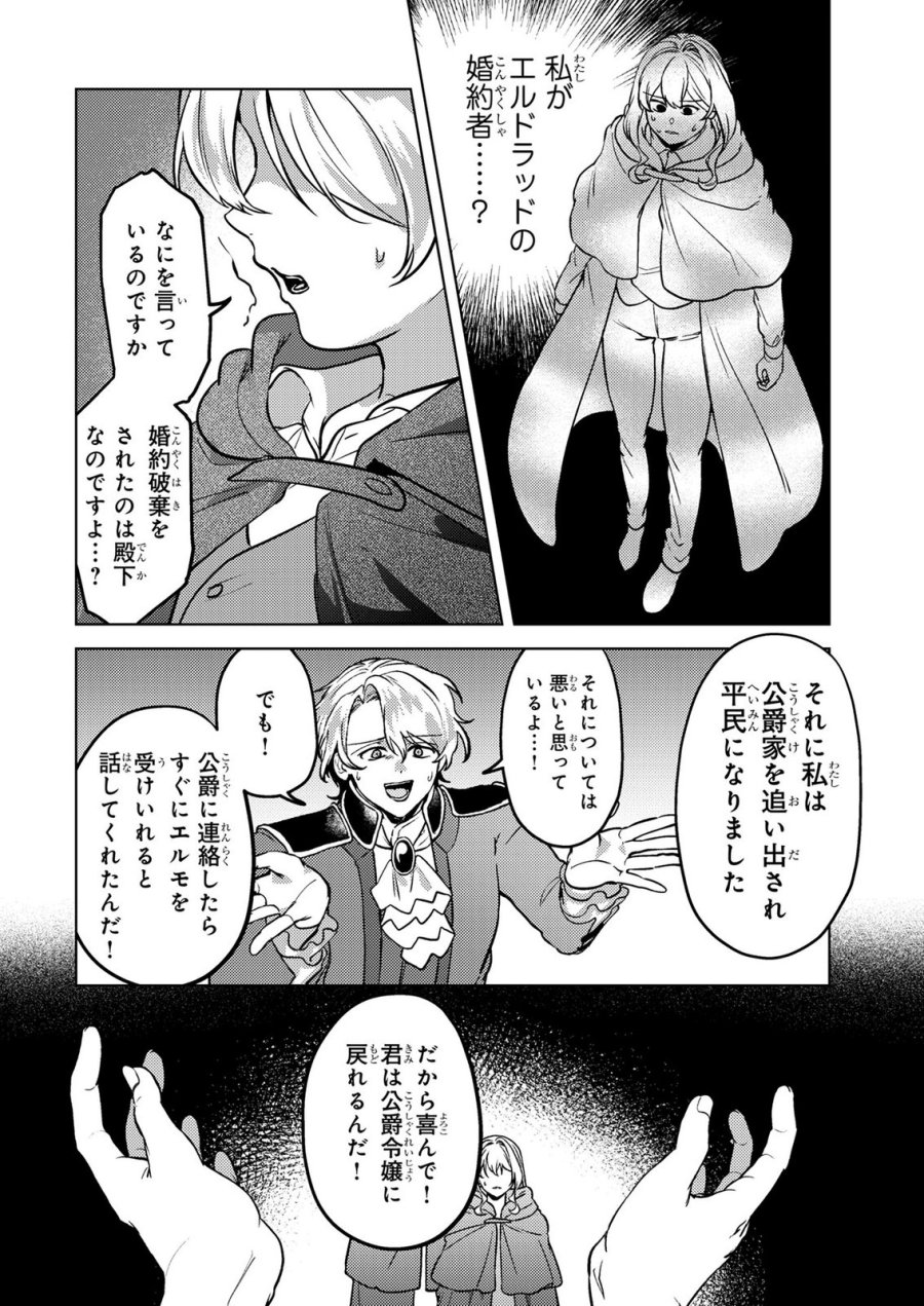 婚約破棄したお馬鹿な王子はほっといて、悪役令嬢は精霊の森で幸せになります。 第28話 - Trang 6