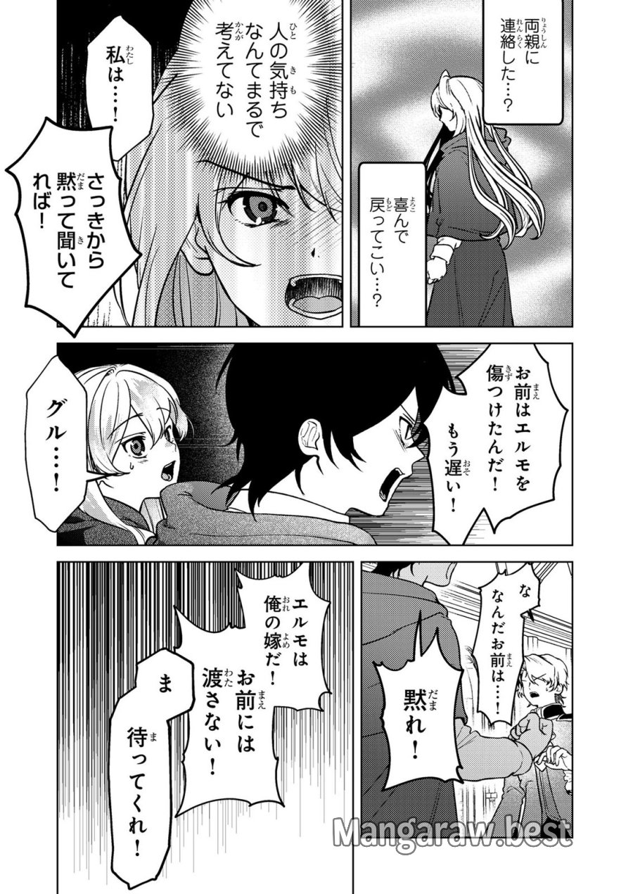 婚約破棄したお馬鹿な王子はほっといて、悪役令嬢は精霊の森で幸せになります。 第28話 - Trang 7
