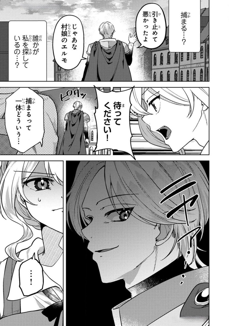 婚約破棄したお馬鹿な王子はほっといて、悪役令嬢は精霊の森で幸せになります。 第16話 - Trang 13