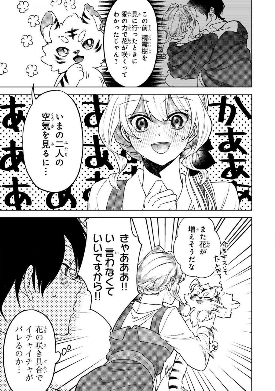 婚約破棄したお馬鹿な王子はほっといて、悪役令嬢は精霊の森で幸せになります。 第18話 - Trang 3