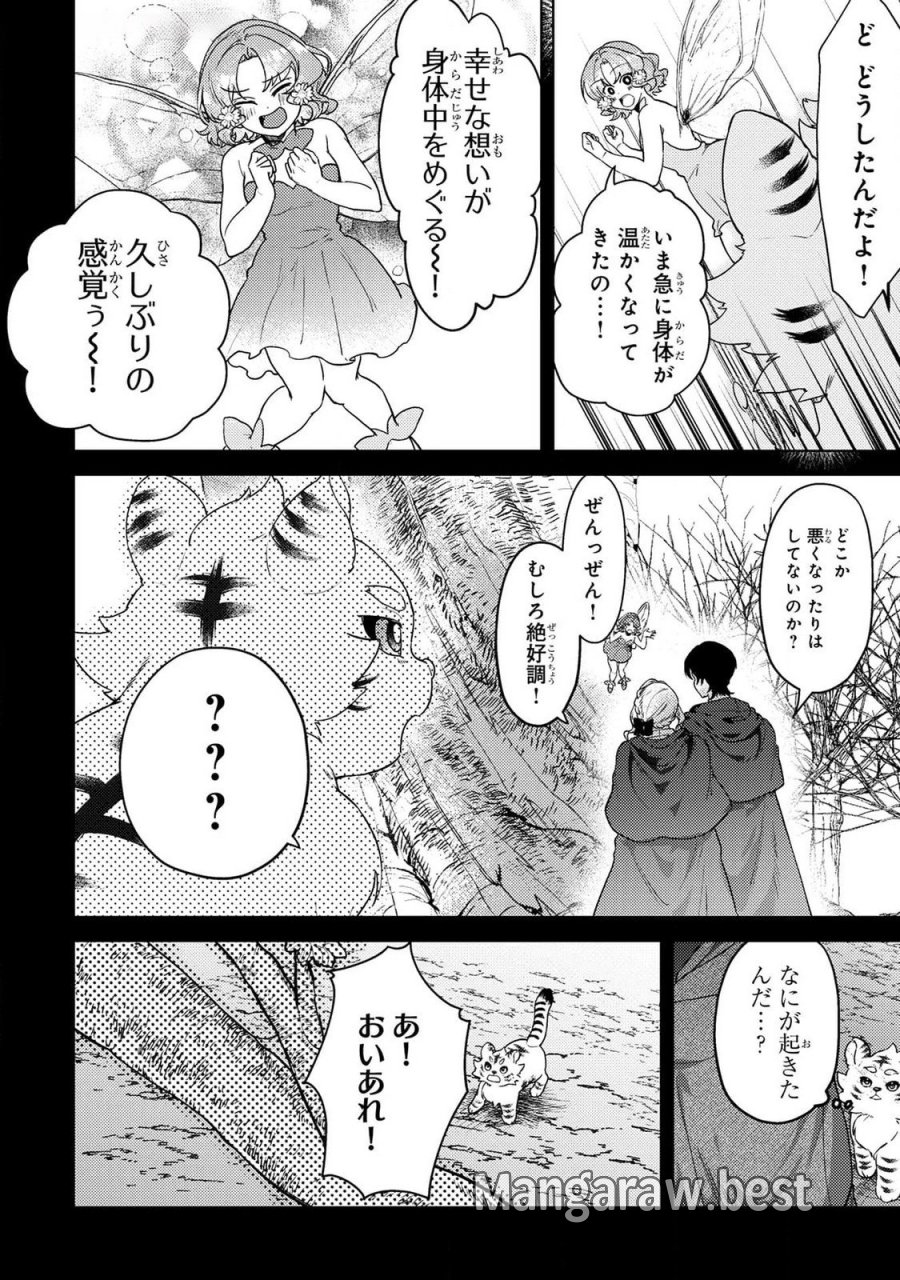 婚約破棄したお馬鹿な王子はほっといて、悪役令嬢は精霊の森で幸せになります。 第15話 - Trang 4