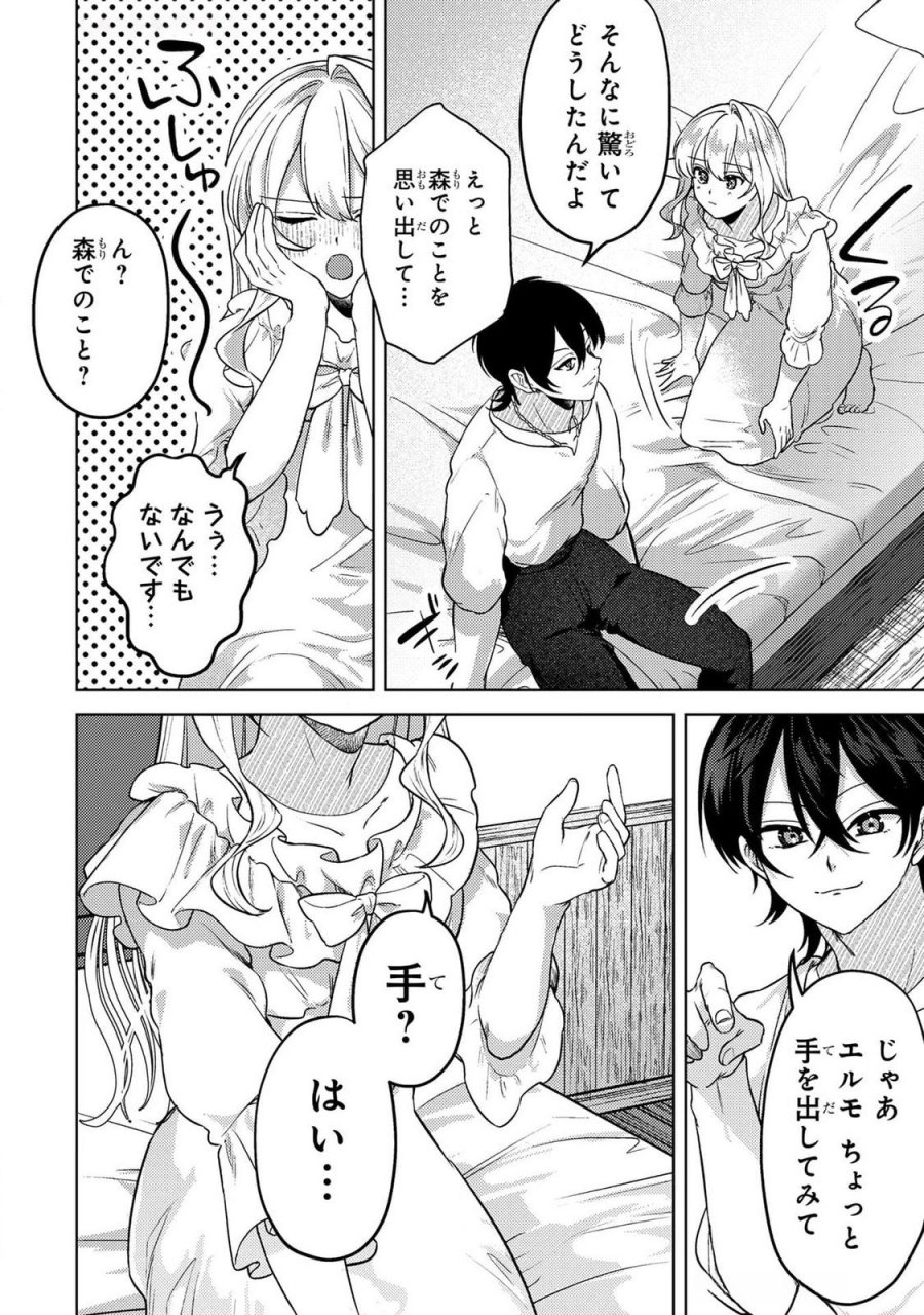 婚約破棄したお馬鹿な王子はほっといて、悪役令嬢は精霊の森で幸せになります。 第15話 - Trang 8
