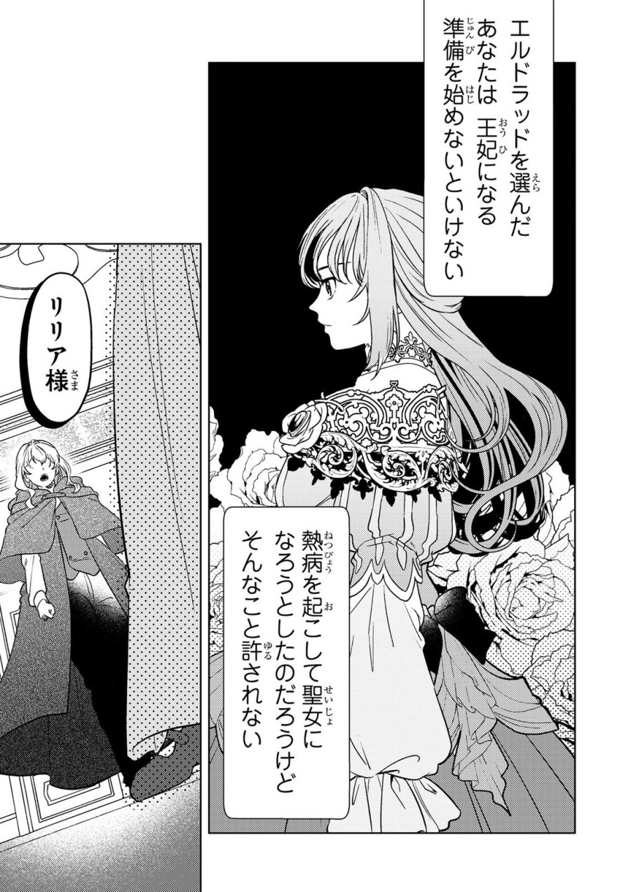 婚約破棄したお馬鹿な王子はほっといて、悪役令嬢は精霊の森で幸せになります。 第27話 - Trang 13