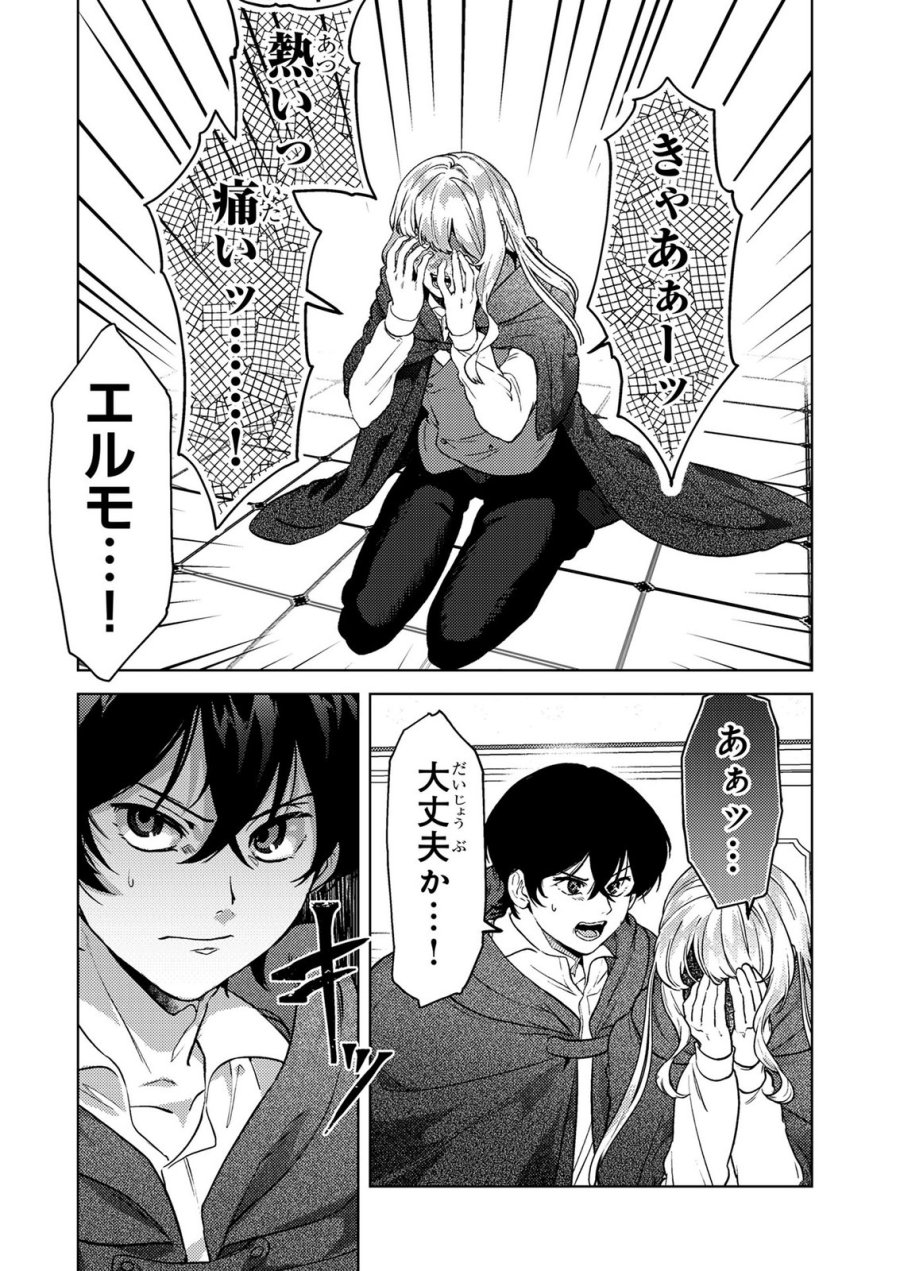 婚約破棄したお馬鹿な王子はほっといて、悪役令嬢は精霊の森で幸せになります。 第27話 - Trang 2