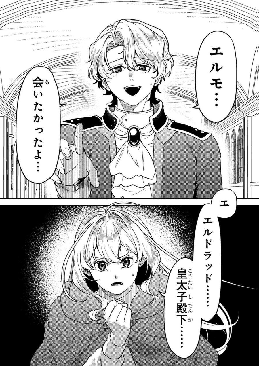 婚約破棄したお馬鹿な王子はほっといて、悪役令嬢は精霊の森で幸せになります。 第27話 - Trang 20