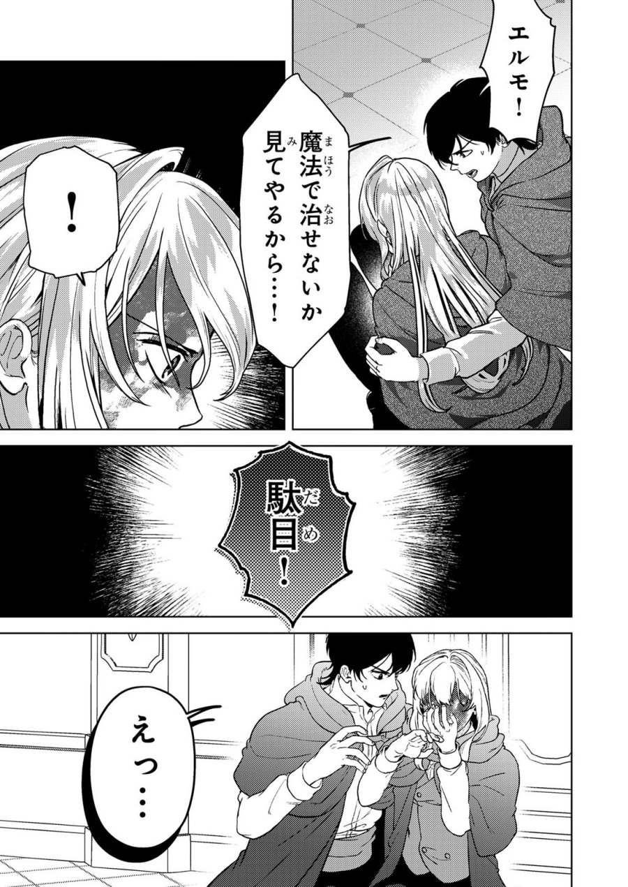 婚約破棄したお馬鹿な王子はほっといて、悪役令嬢は精霊の森で幸せになります。 第27話 - Trang 5