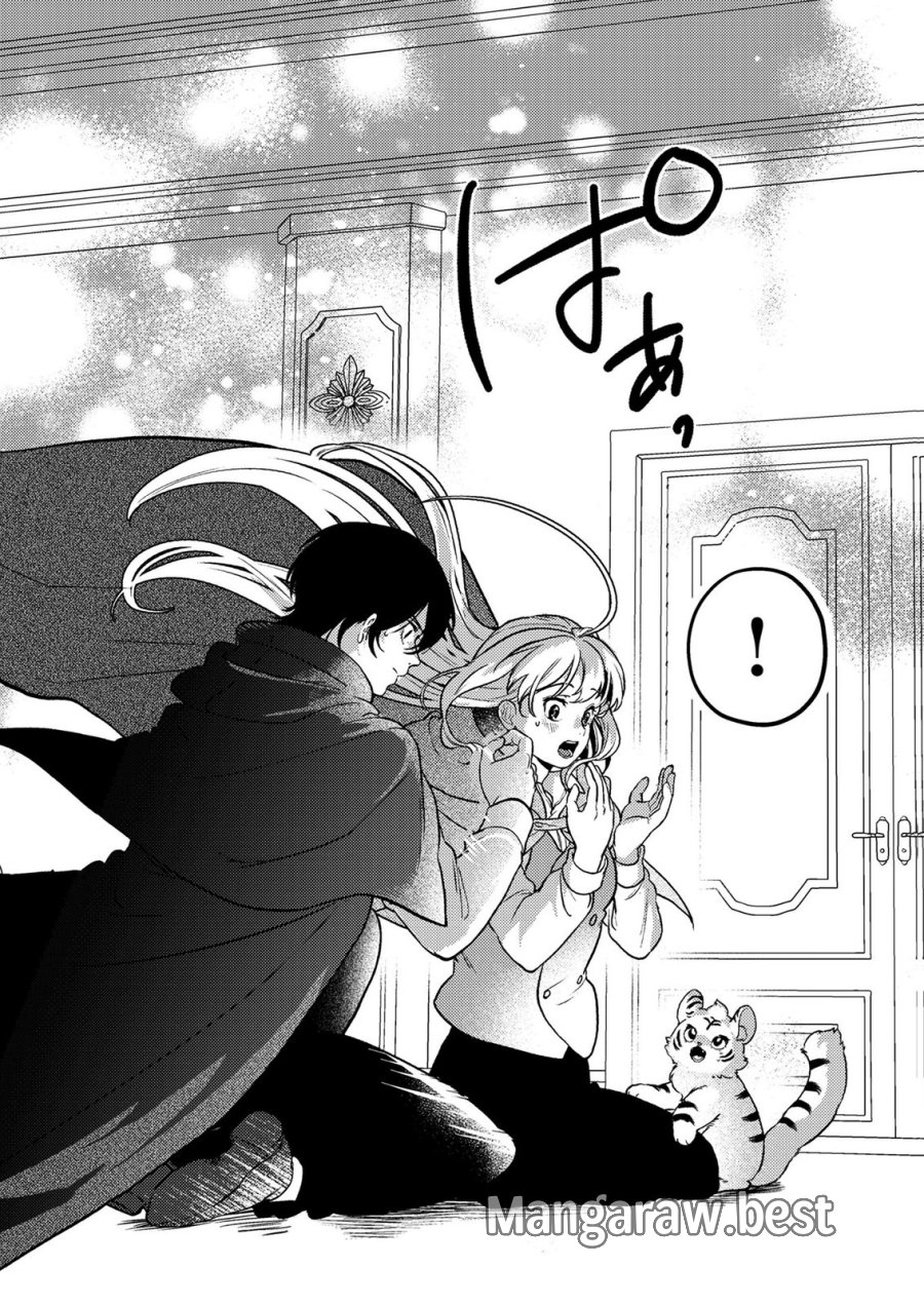 婚約破棄したお馬鹿な王子はほっといて、悪役令嬢は精霊の森で幸せになります。 第27話 - Trang 8