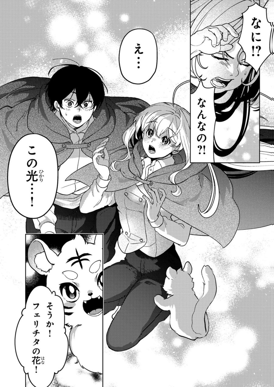 婚約破棄したお馬鹿な王子はほっといて、悪役令嬢は精霊の森で幸せになります。 第27話 - Trang 9