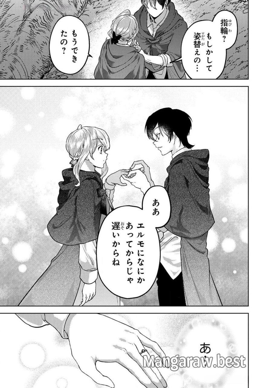 婚約破棄したお馬鹿な王子はほっといて、悪役令嬢は精霊の森で幸せになります。 第20話 - Trang 11