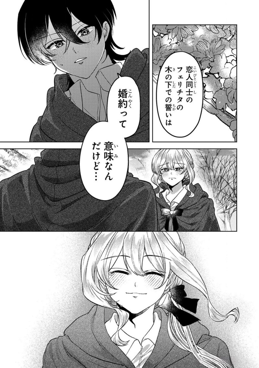 婚約破棄したお馬鹿な王子はほっといて、悪役令嬢は精霊の森で幸せになります。 第20話 - Trang 13