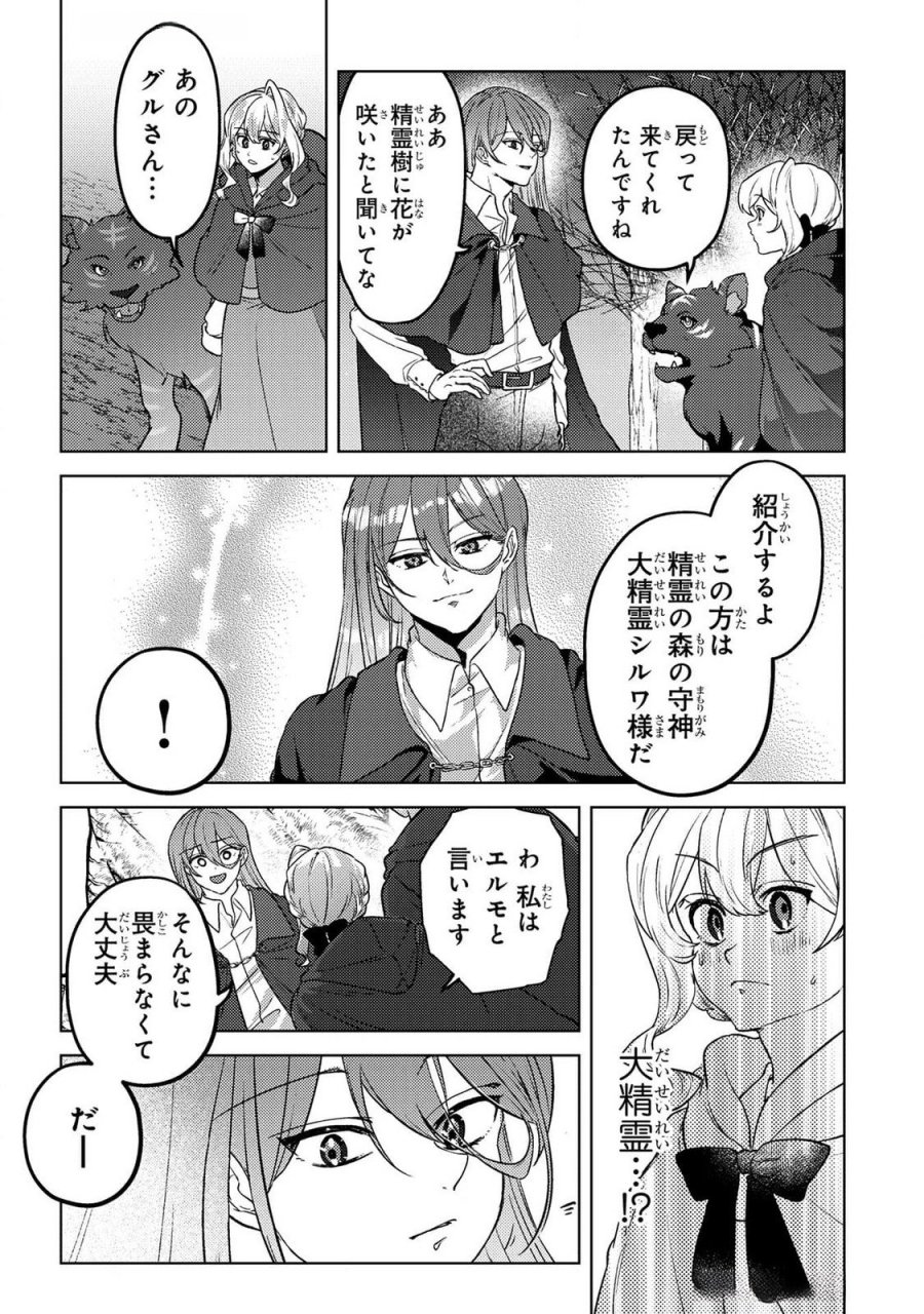 婚約破棄したお馬鹿な王子はほっといて、悪役令嬢は精霊の森で幸せになります。 第20話 - Trang 17