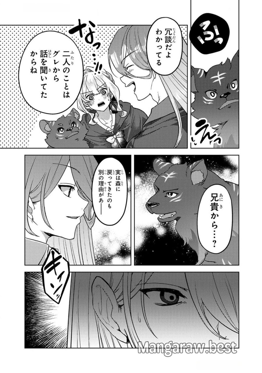 婚約破棄したお馬鹿な王子はほっといて、悪役令嬢は精霊の森で幸せになります。 第20話 - Trang 19