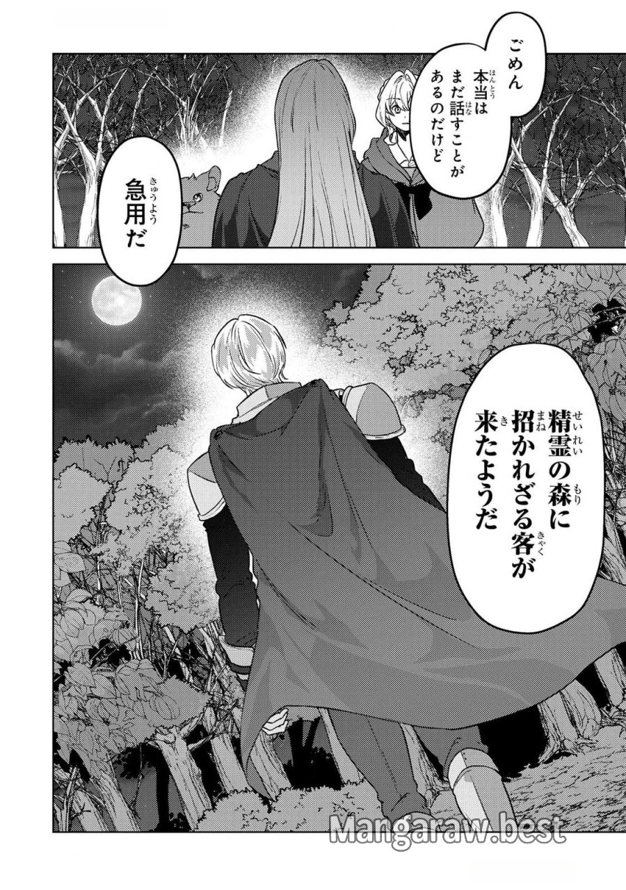 婚約破棄したお馬鹿な王子はほっといて、悪役令嬢は精霊の森で幸せになります。 第20話 - Trang 20