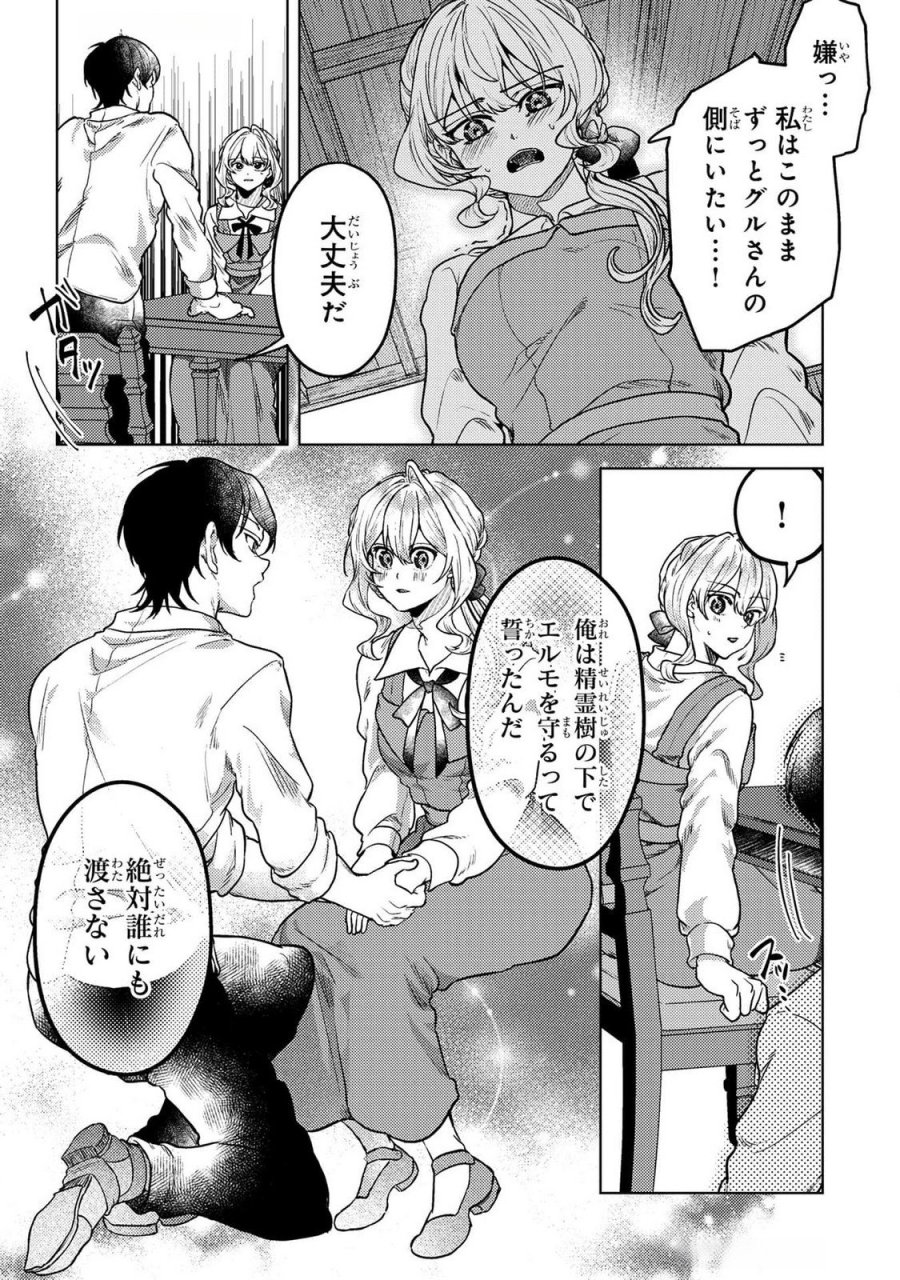 婚約破棄したお馬鹿な王子はほっといて、悪役令嬢は精霊の森で幸せになります。 第17話 - Trang 15