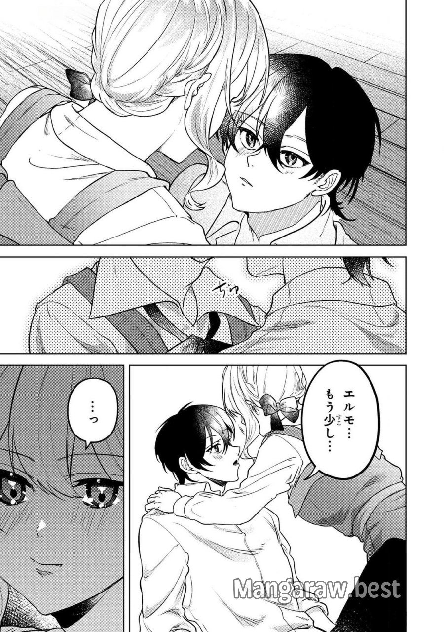婚約破棄したお馬鹿な王子はほっといて、悪役令嬢は精霊の森で幸せになります。 第17話 - Trang 19