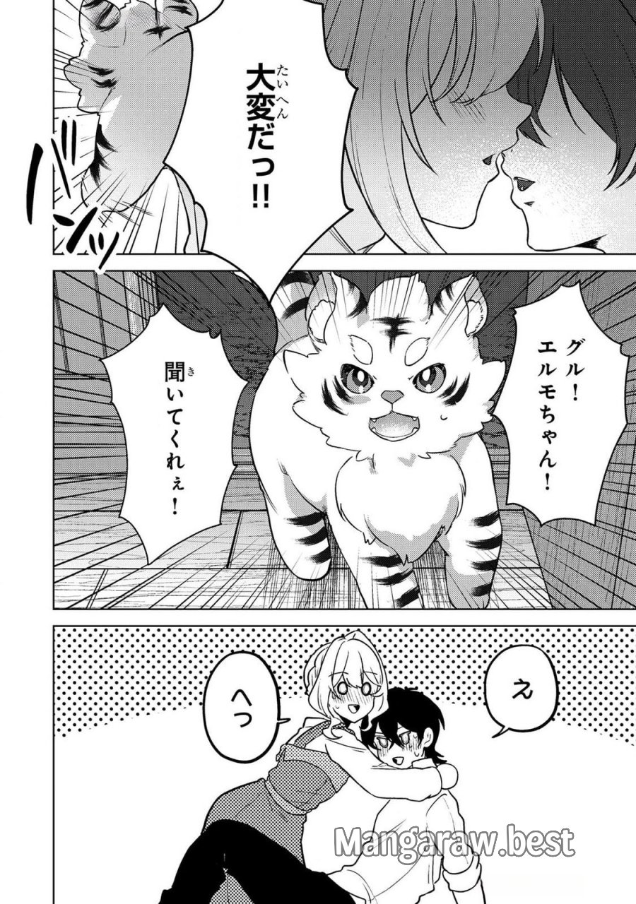 婚約破棄したお馬鹿な王子はほっといて、悪役令嬢は精霊の森で幸せになります。 第17話 - Trang 20