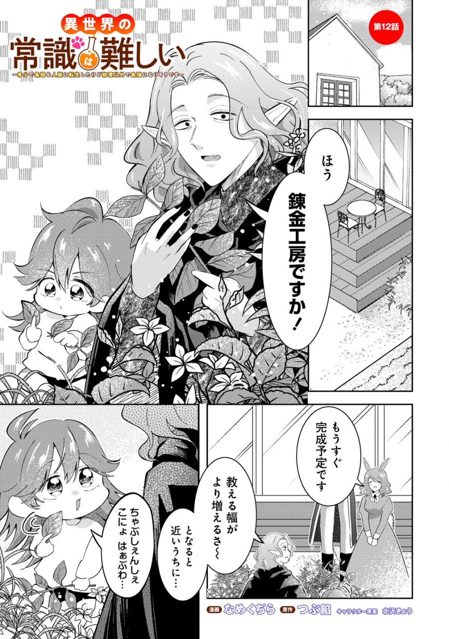 異世界の常識は難しい～希少で最弱な人族に転生したけど物理以外で最強になりそうです～ 第12話 - Page 1