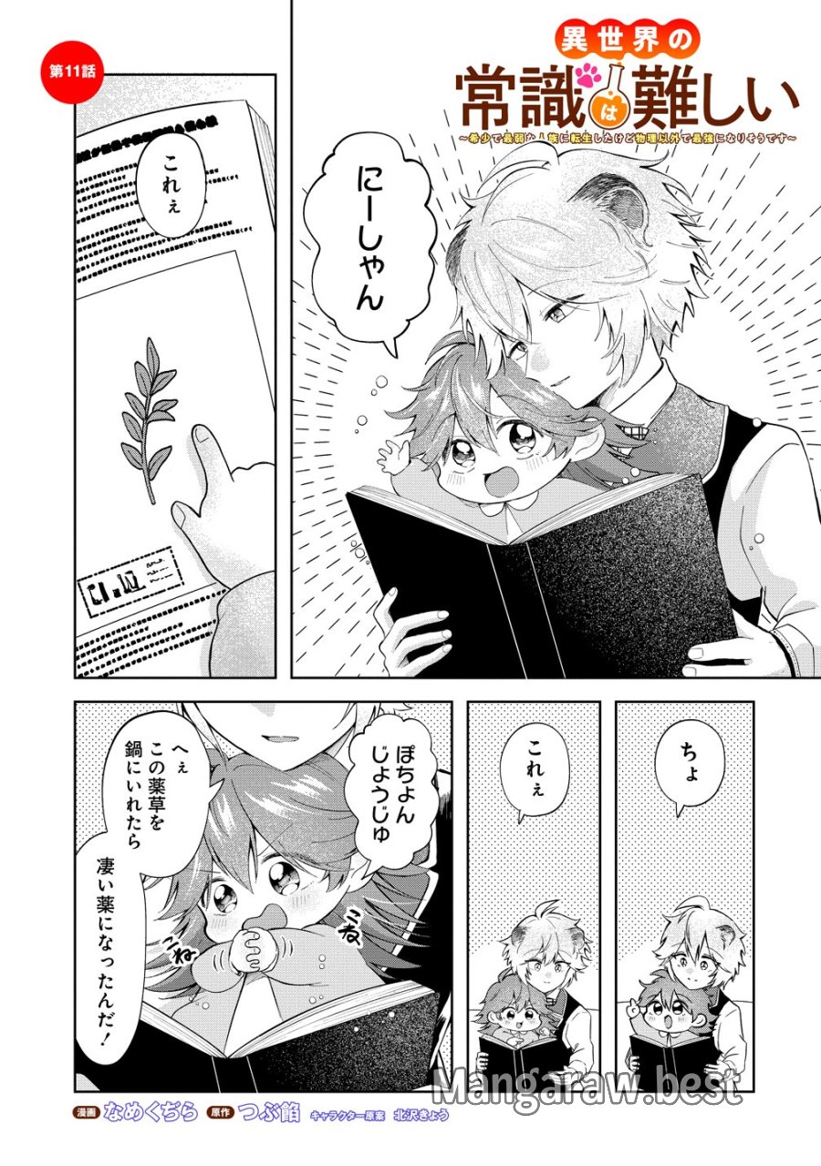 異世界の常識は難しい～希少で最弱な人族に転生したけど物理以外で最強になりそうです～ 第11話 - Trang 1