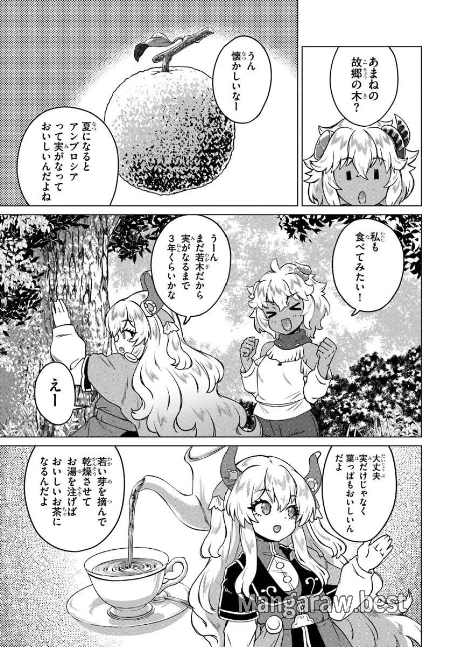 竜王さまの気ままな異世界ライフ 第11話 - Trang 15